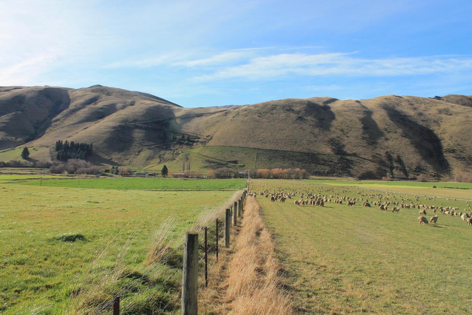 Bauchops Hill Station Farmstay Burkes Pass Exterior photo